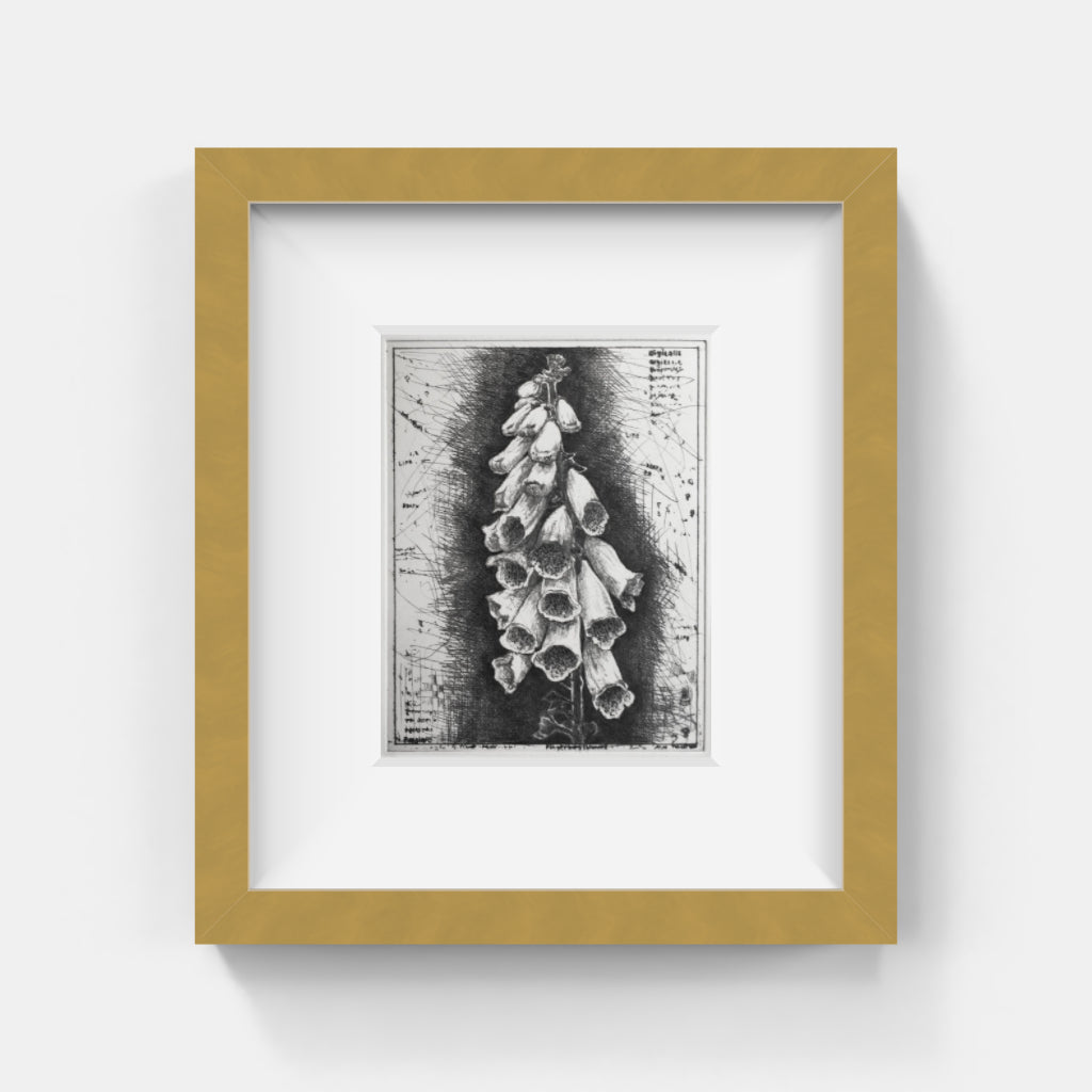 Mikael Kihlman - Flowers IV