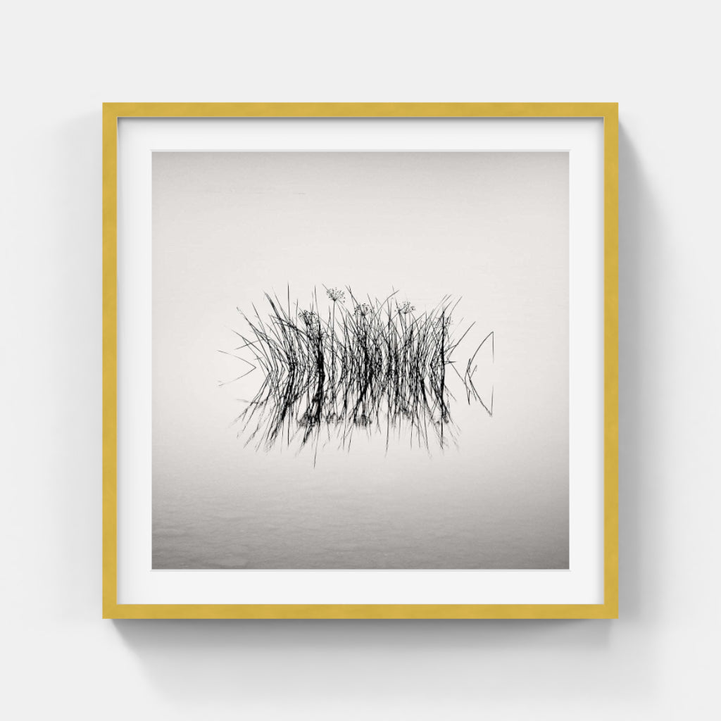 Frang Dushaj - Oneiric Lake Reeds B60XH60