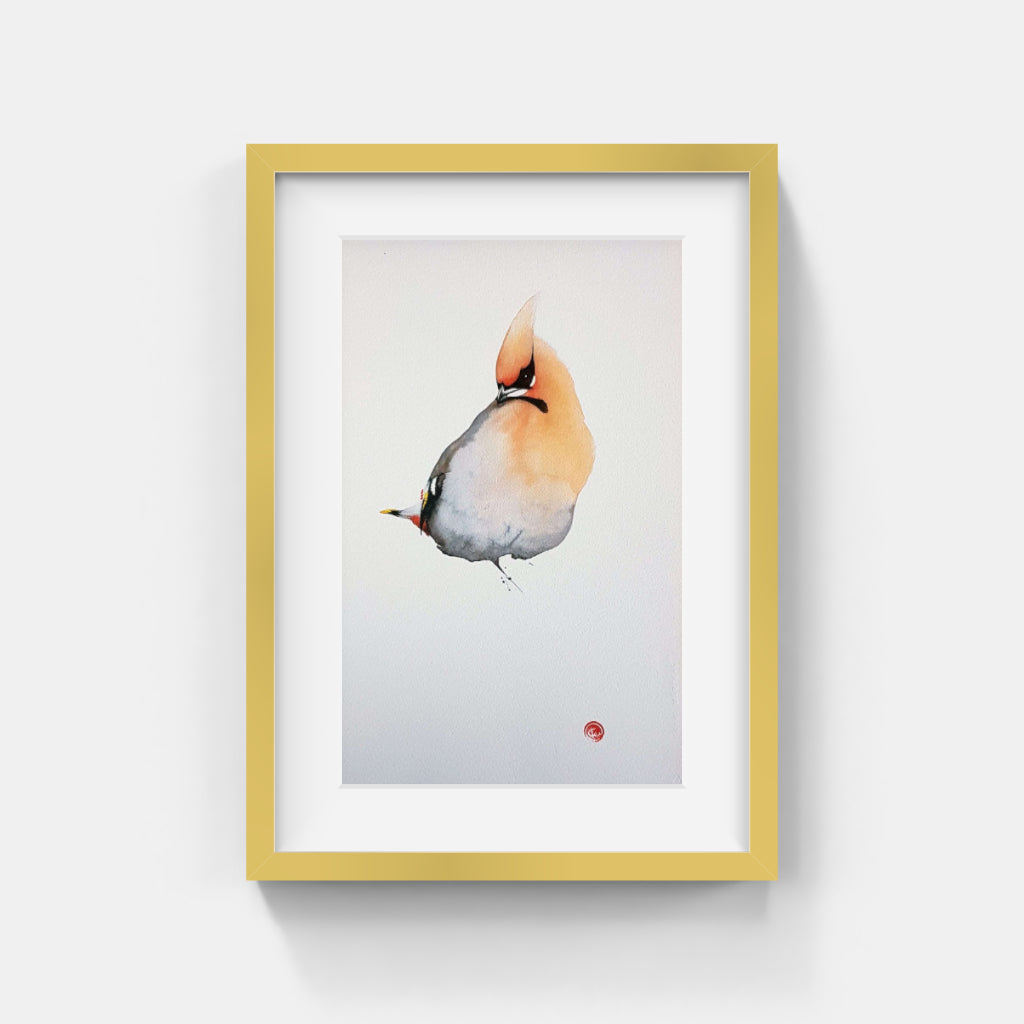 Karl Mårtens - Silk Tail