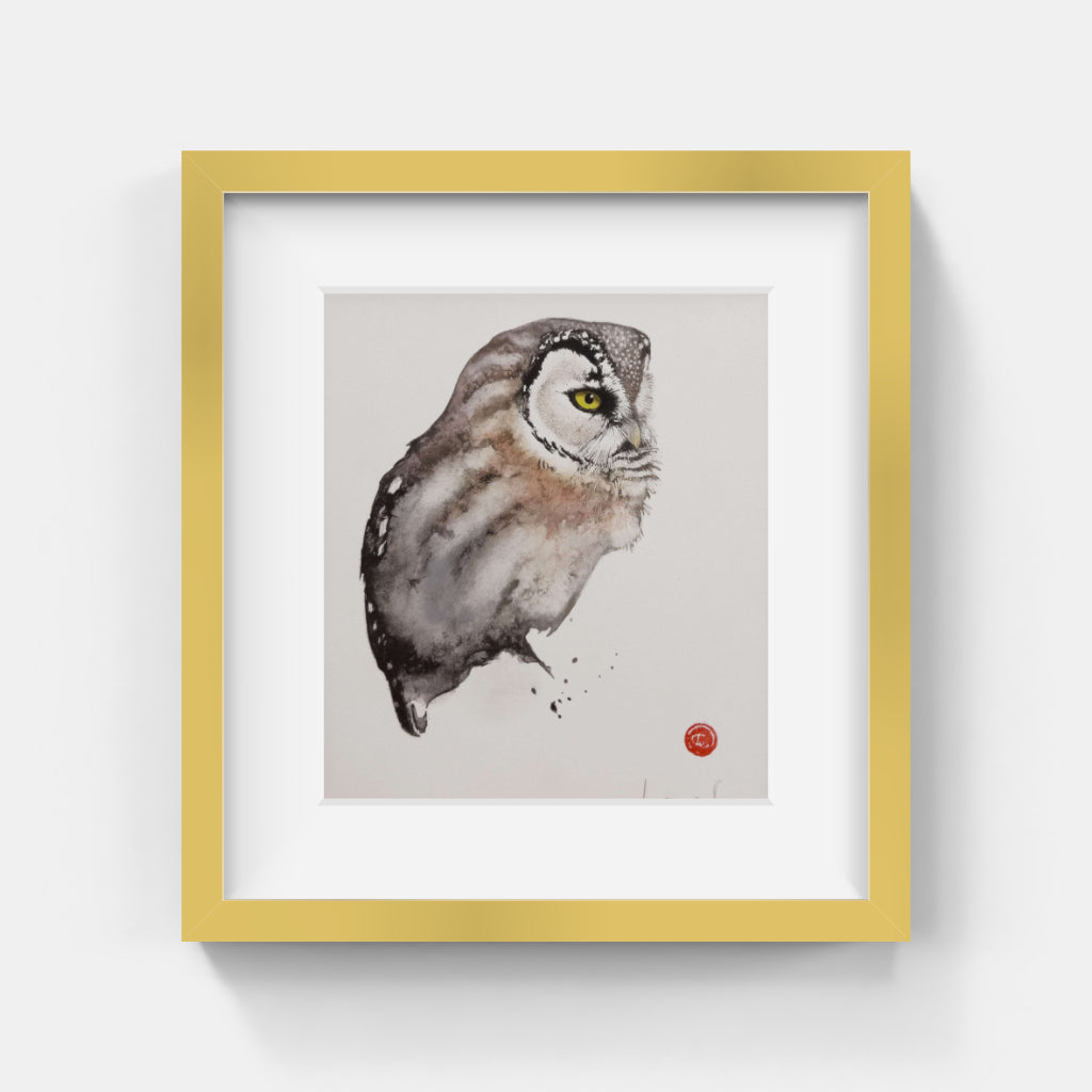 Karl Mårtens - Pärluggla