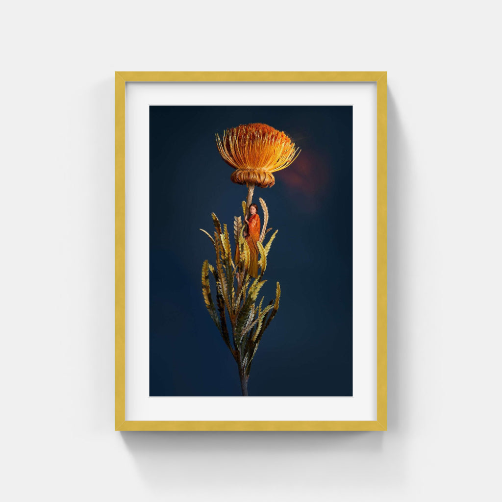 Sonja Hesslow - Lights by Night I