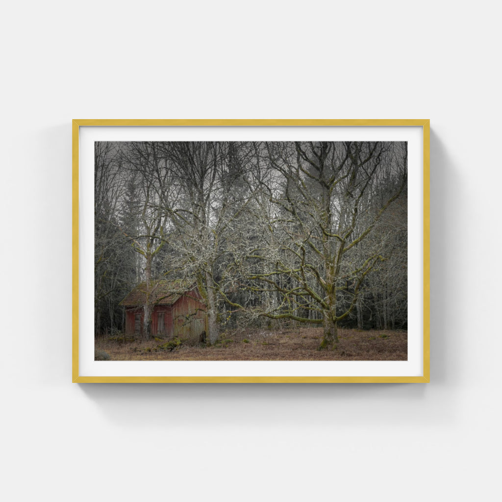 Sanna Emanuelsson - Lilla Ladan