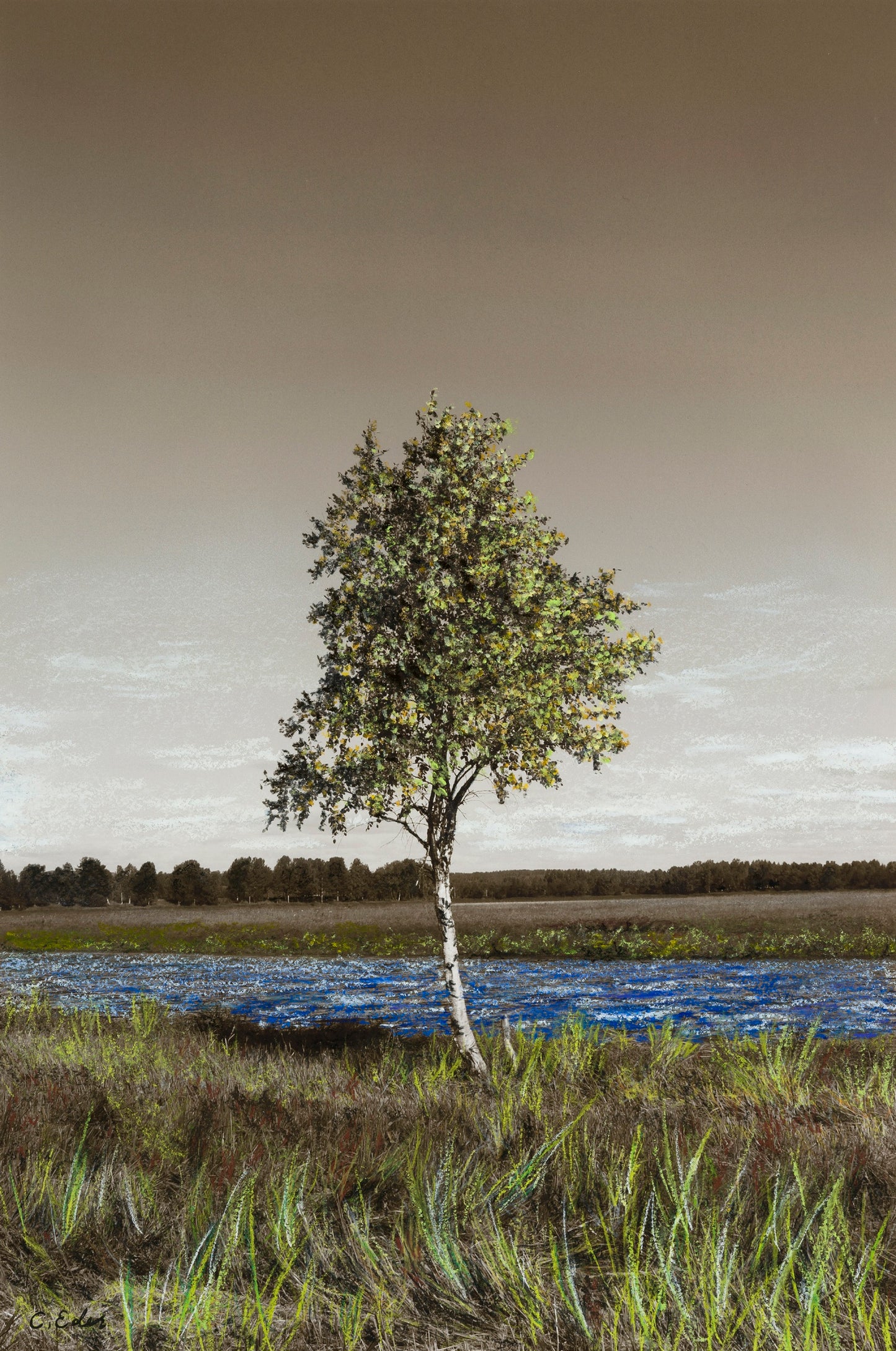 Charlotte Eder - Björke