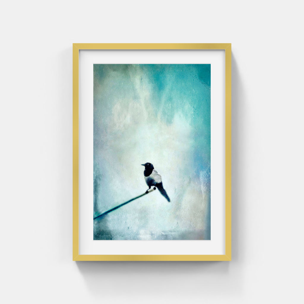 Nino Ramsby - Göteborgs-skata