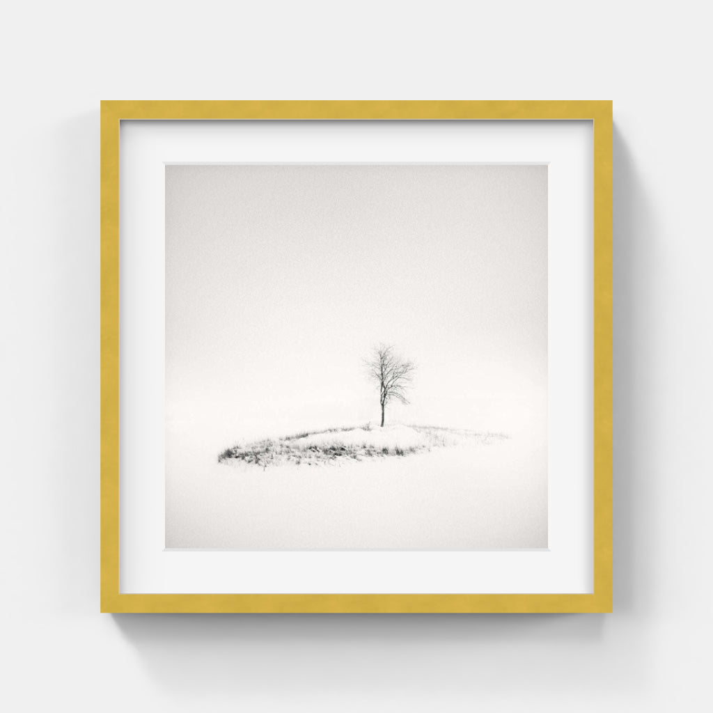 Frang Dushaj - Winter Tales The Lighness of Solace B42xH42