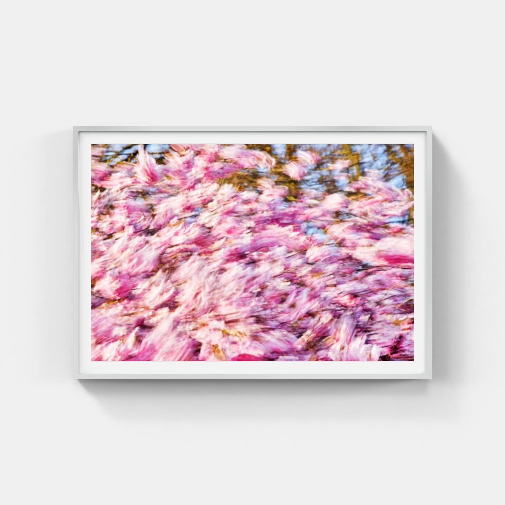 Sandersson - Pink no. 1