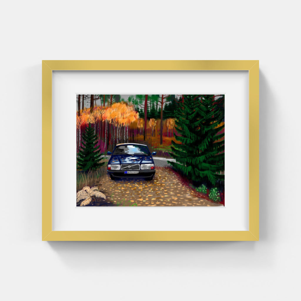 Peter Sternäng - In the mushroom forest