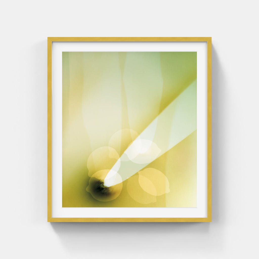 Vince Reichardt - Lemons celerities