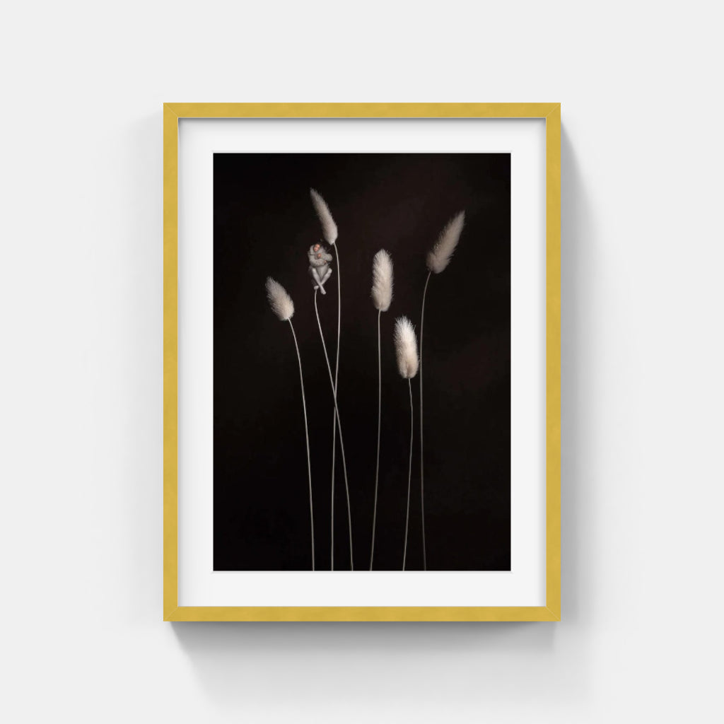 Sonja Hesslow - Secluded