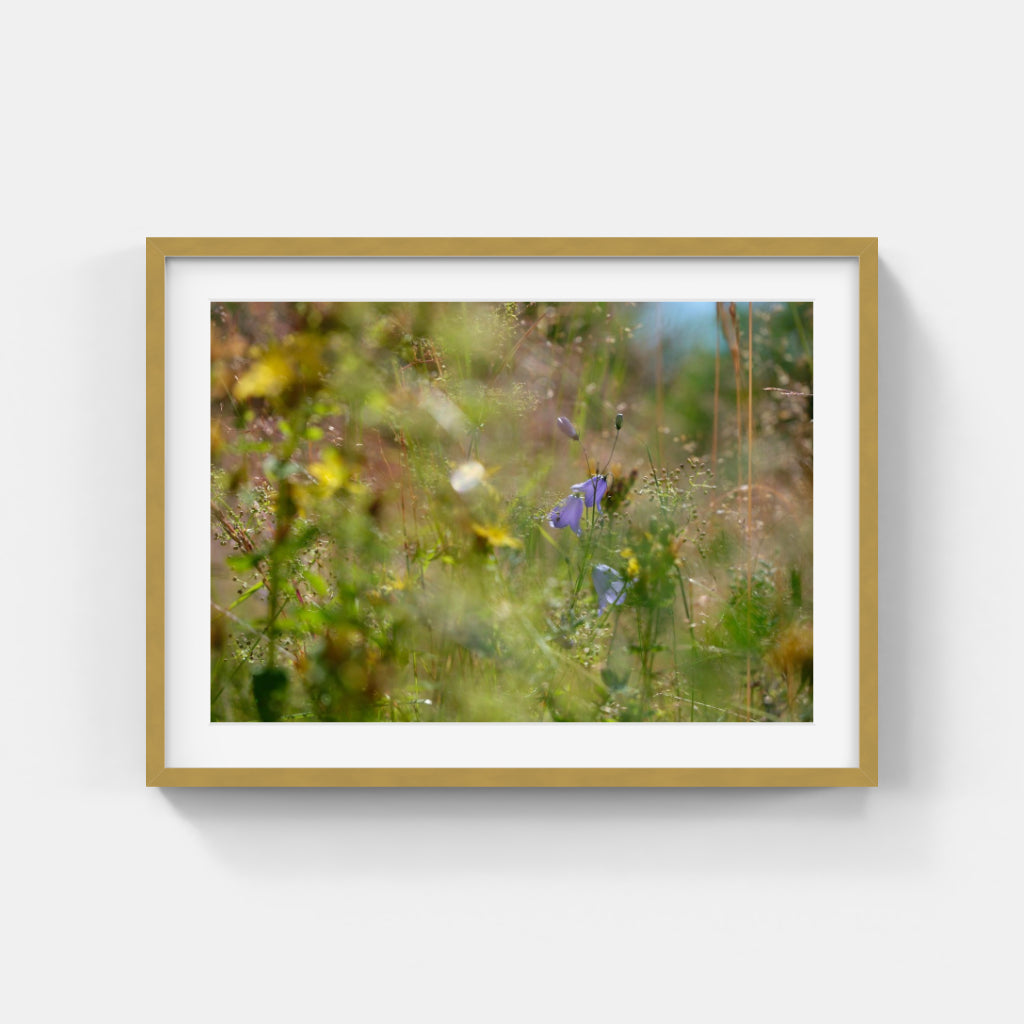 Anders Ludvigson - Summer bells 5