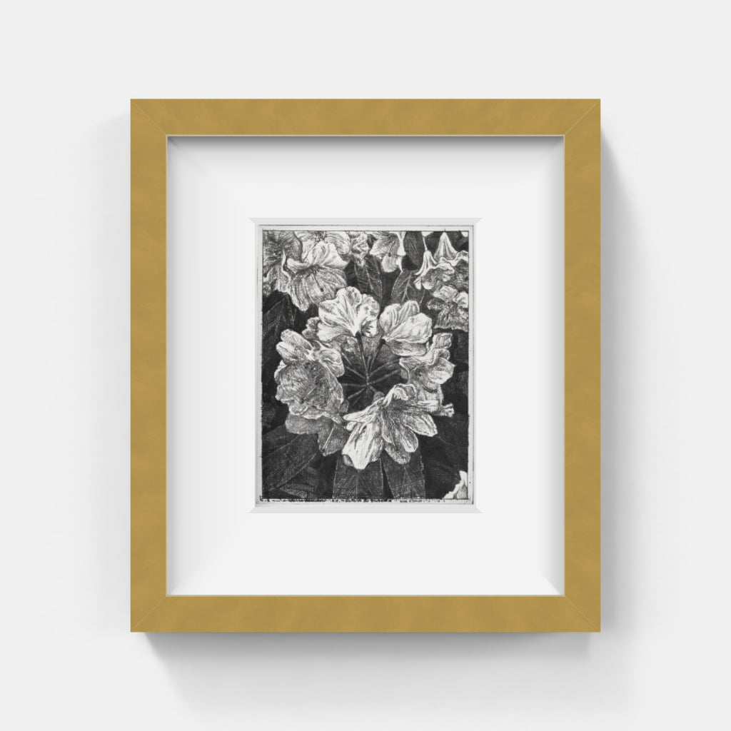 Mikael Kihlman - Thinking about Helsinki