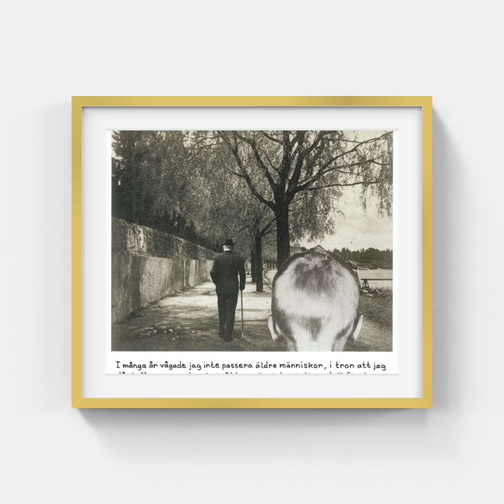 Jan Stenmark - I många år