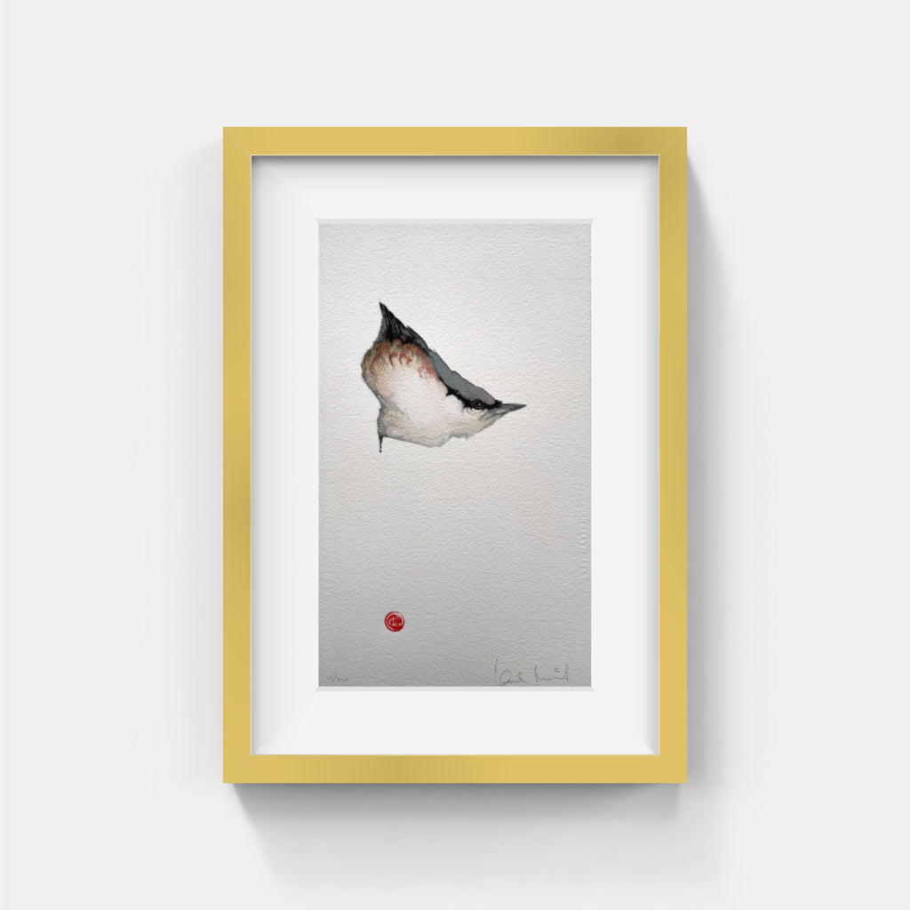 Karl Mårtens - Nötväcka