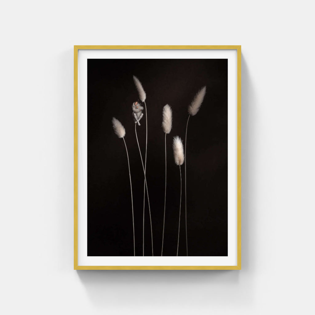 Sonja Hesslow - Secluded