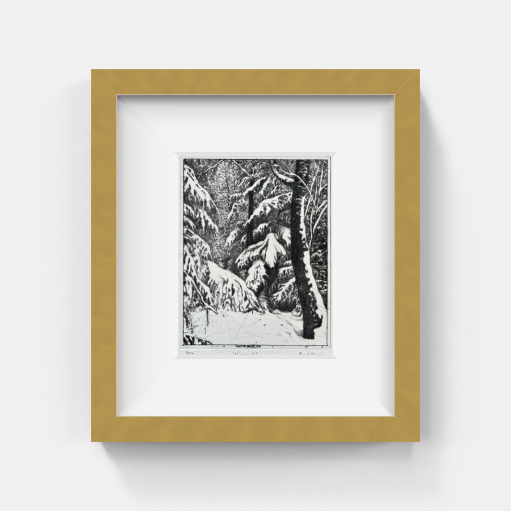 Mikael Kihlman - Winter I