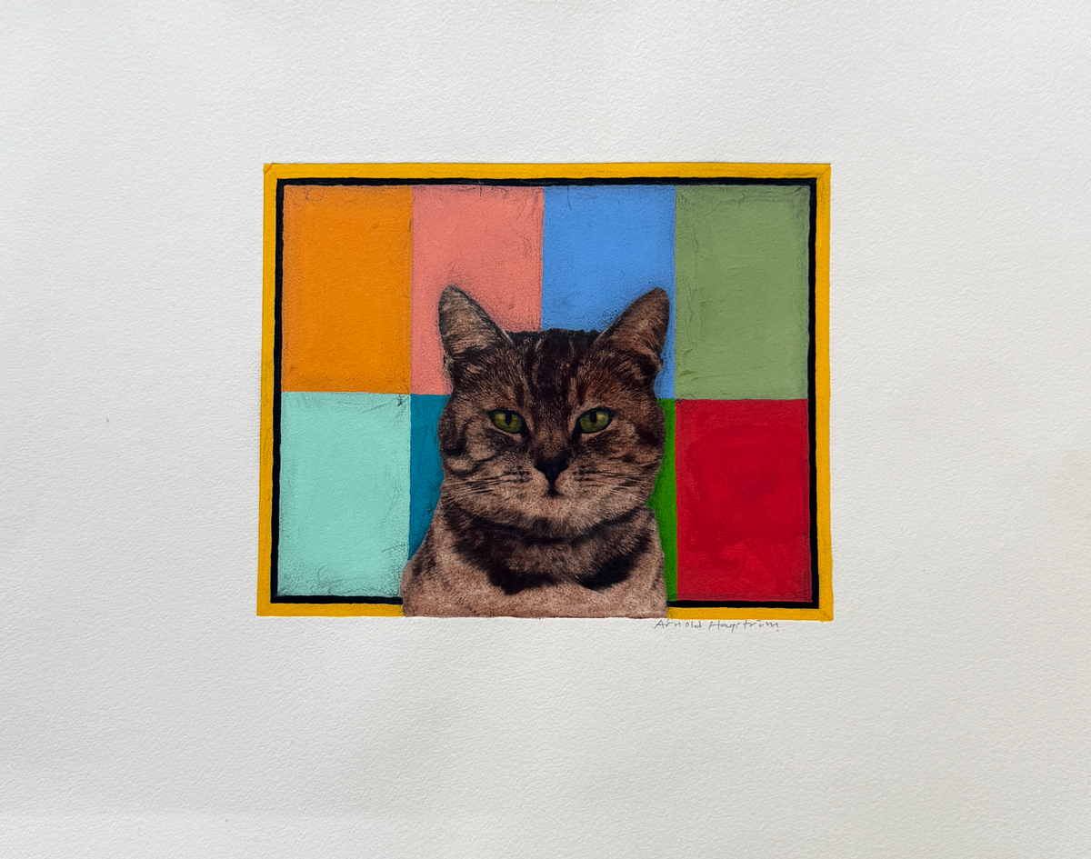 Arnold Hagström - Katt