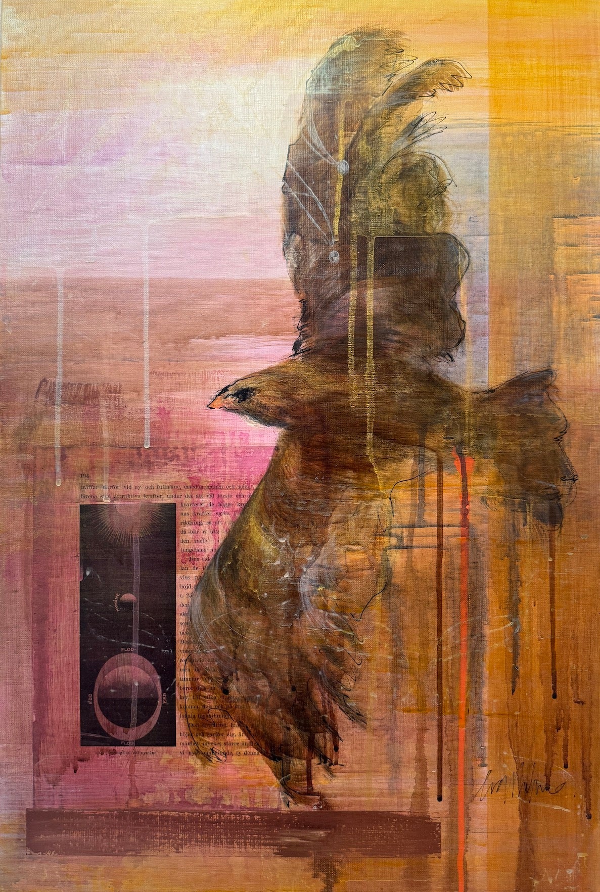 Eva Olofsson - Att fortsätta sin bana