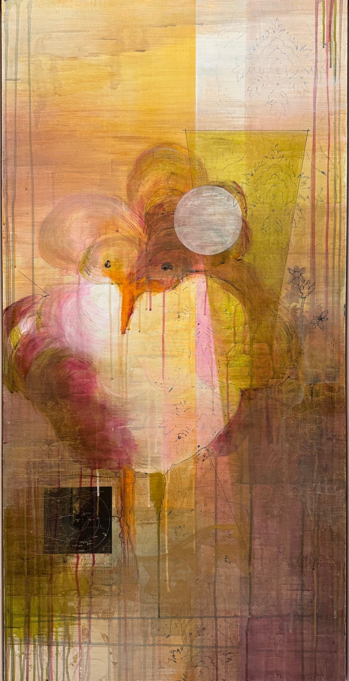 Eva Olofsson - Förunderlig form