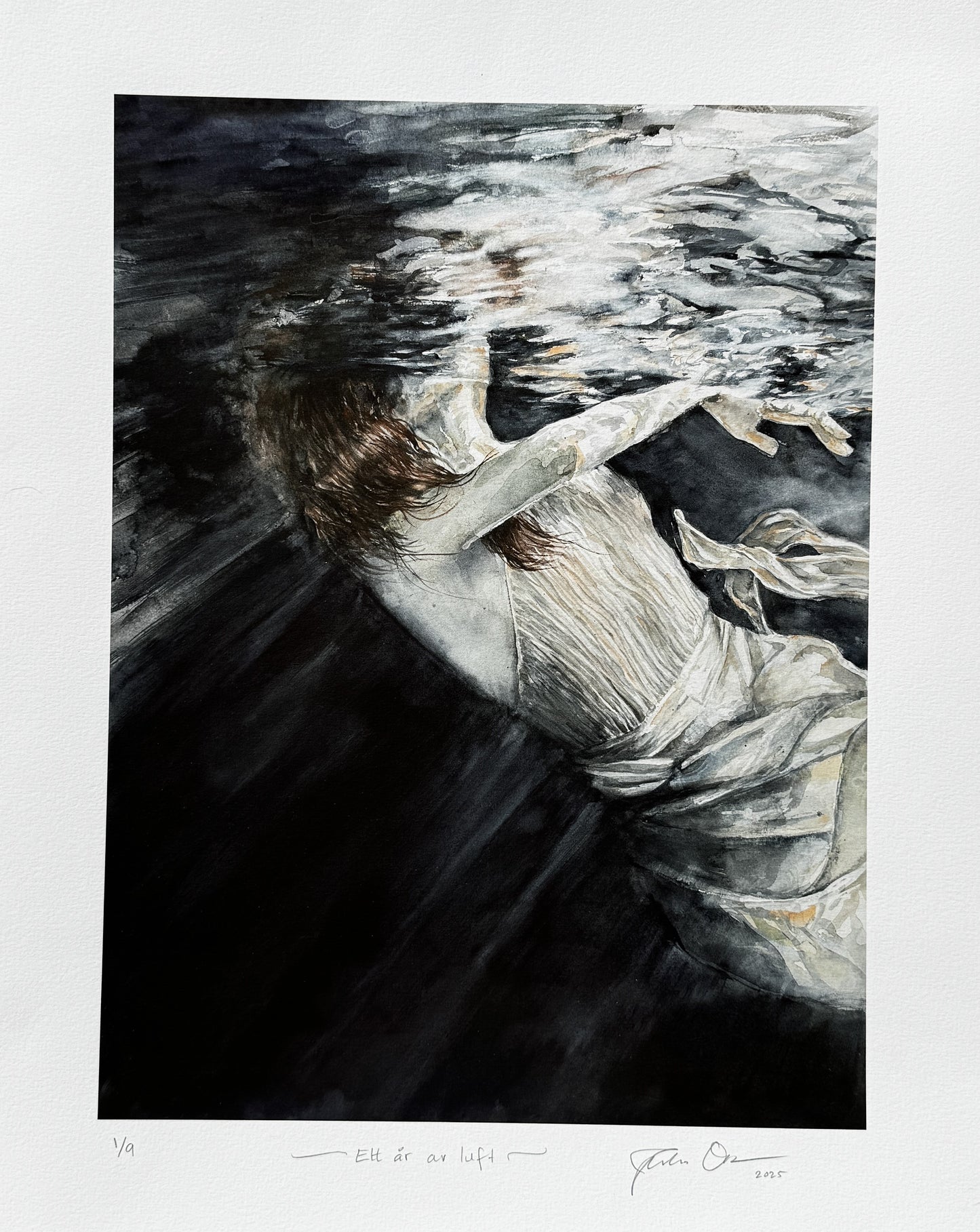 Julia Olofsson - Ett år av luft