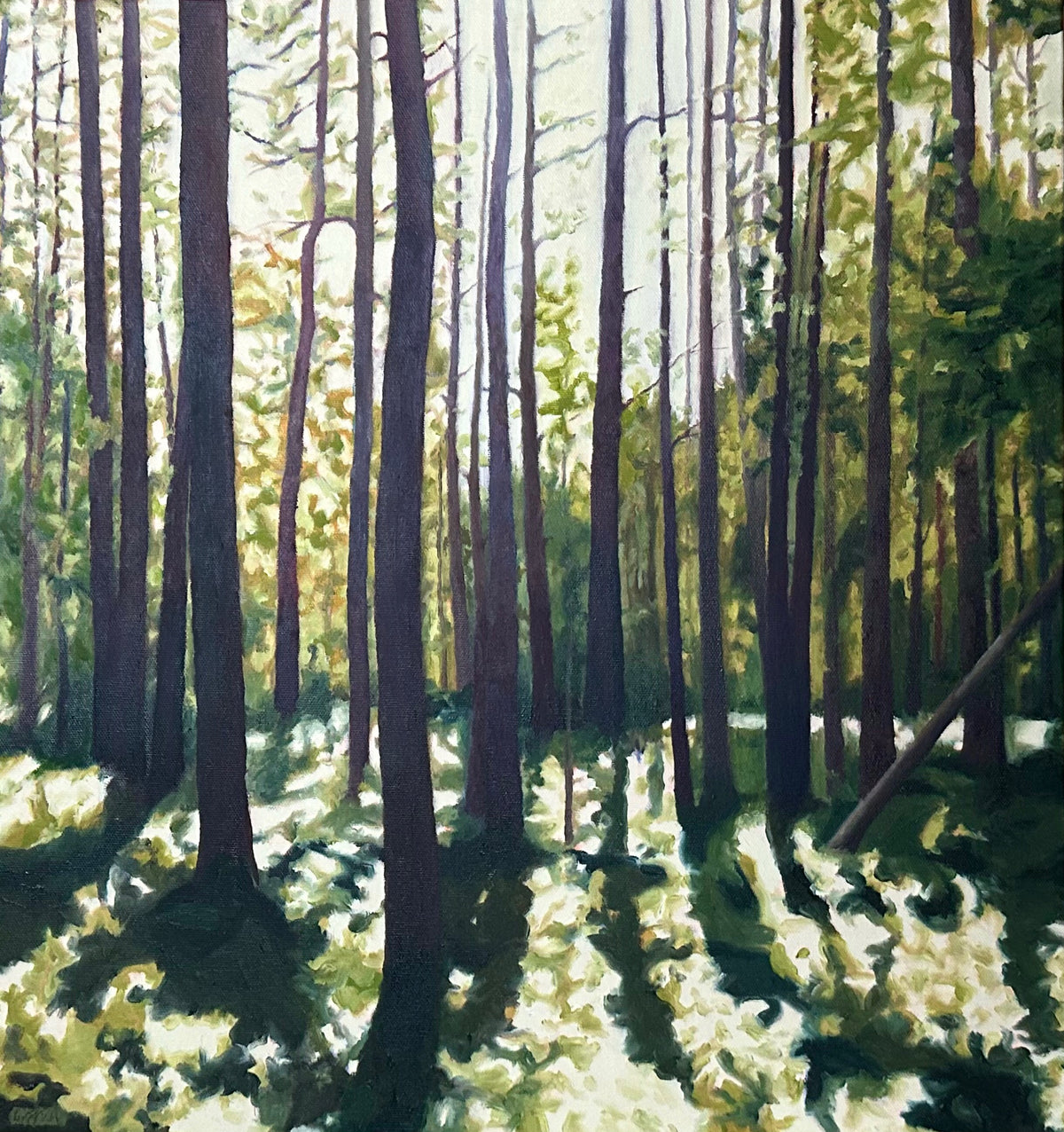 Målning i olja av Ingeborg Paulsrud föreställande en tät skog med höga trädstammar där solljus silar ner på marken.