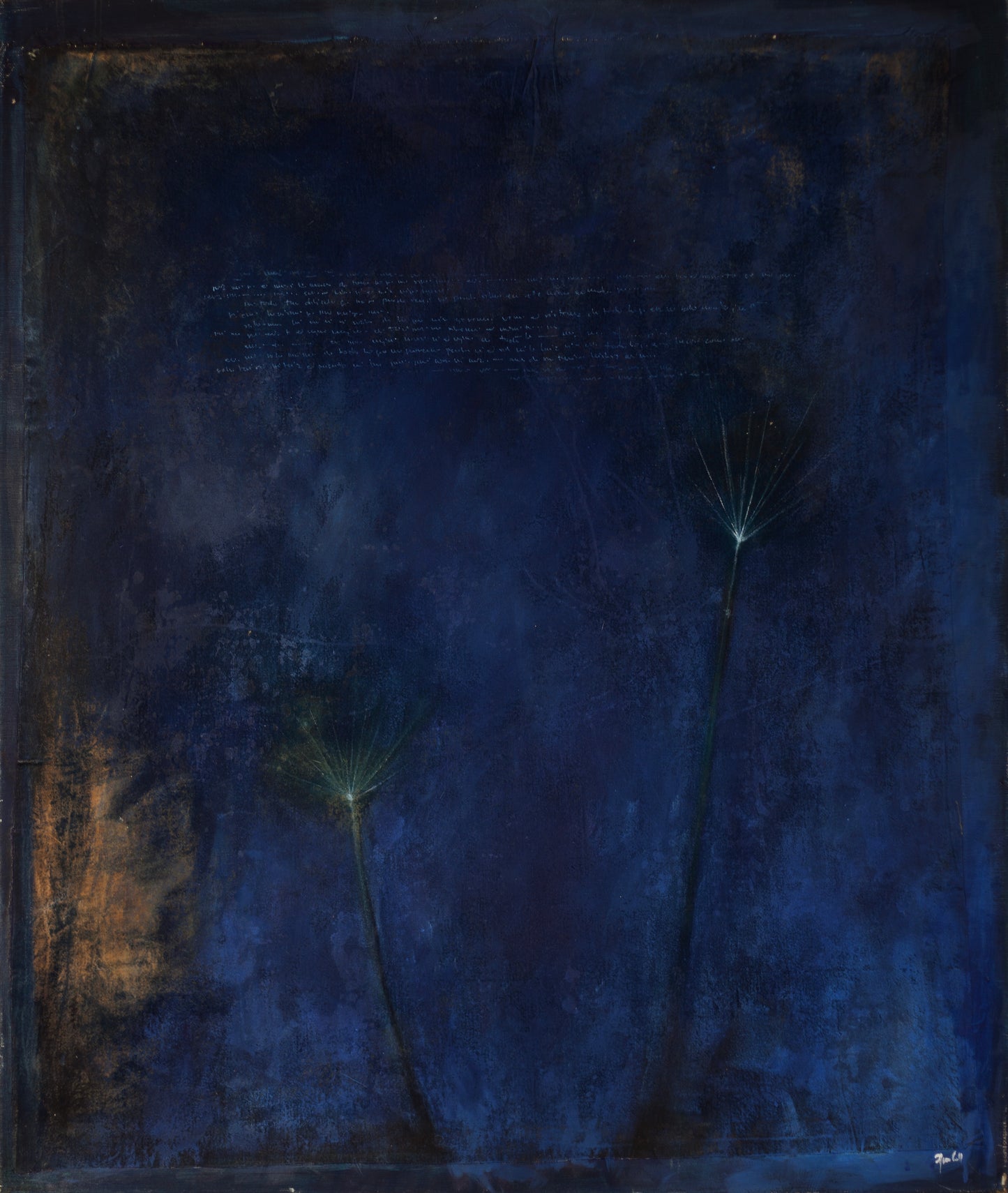 Africa Coll - Indigobältet