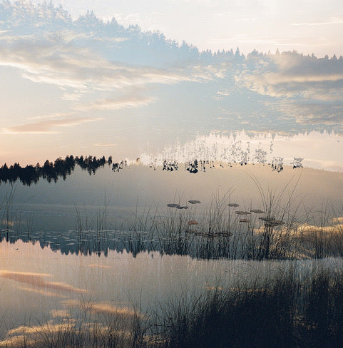 Anna Lilleengen - Metamorphosis Series 5 #1