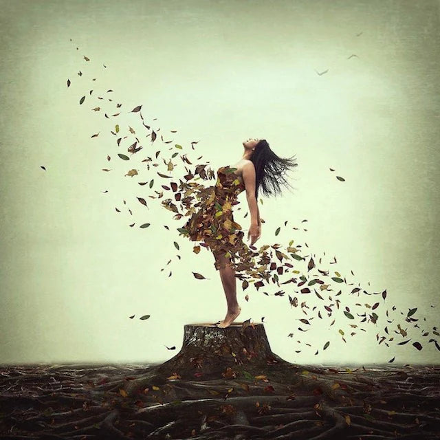 Michelle Mackie - Ever lasting roots