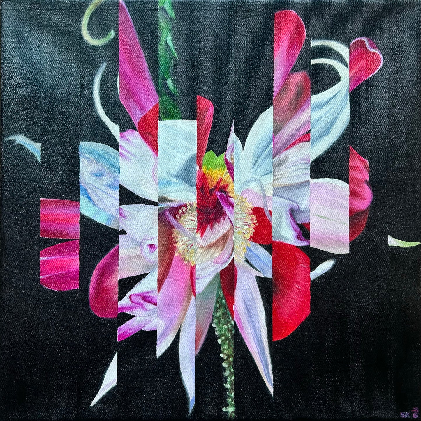 Brandy Kraft - Perspectives 4