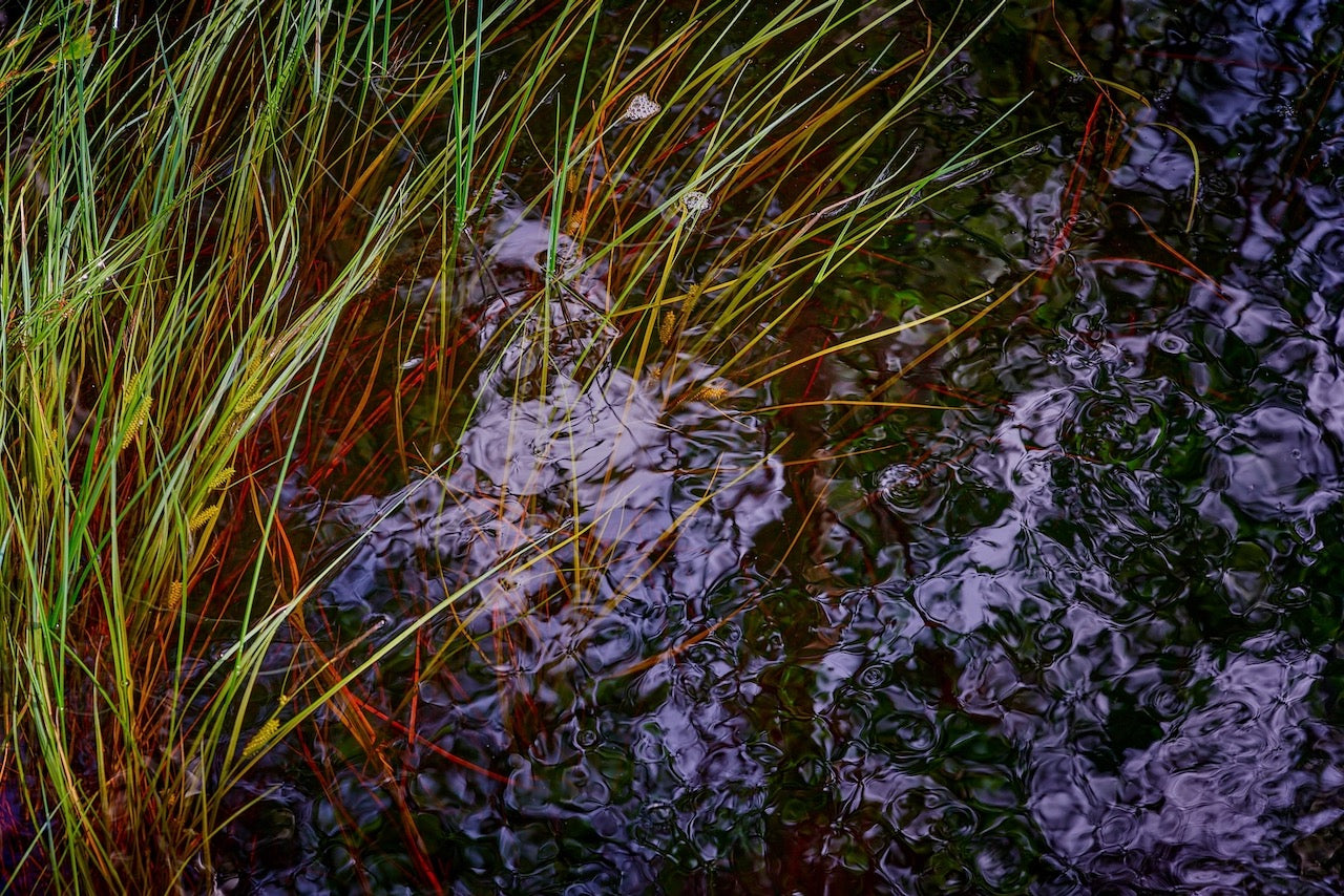 Anders Ludvigson - Summer sky in the water V