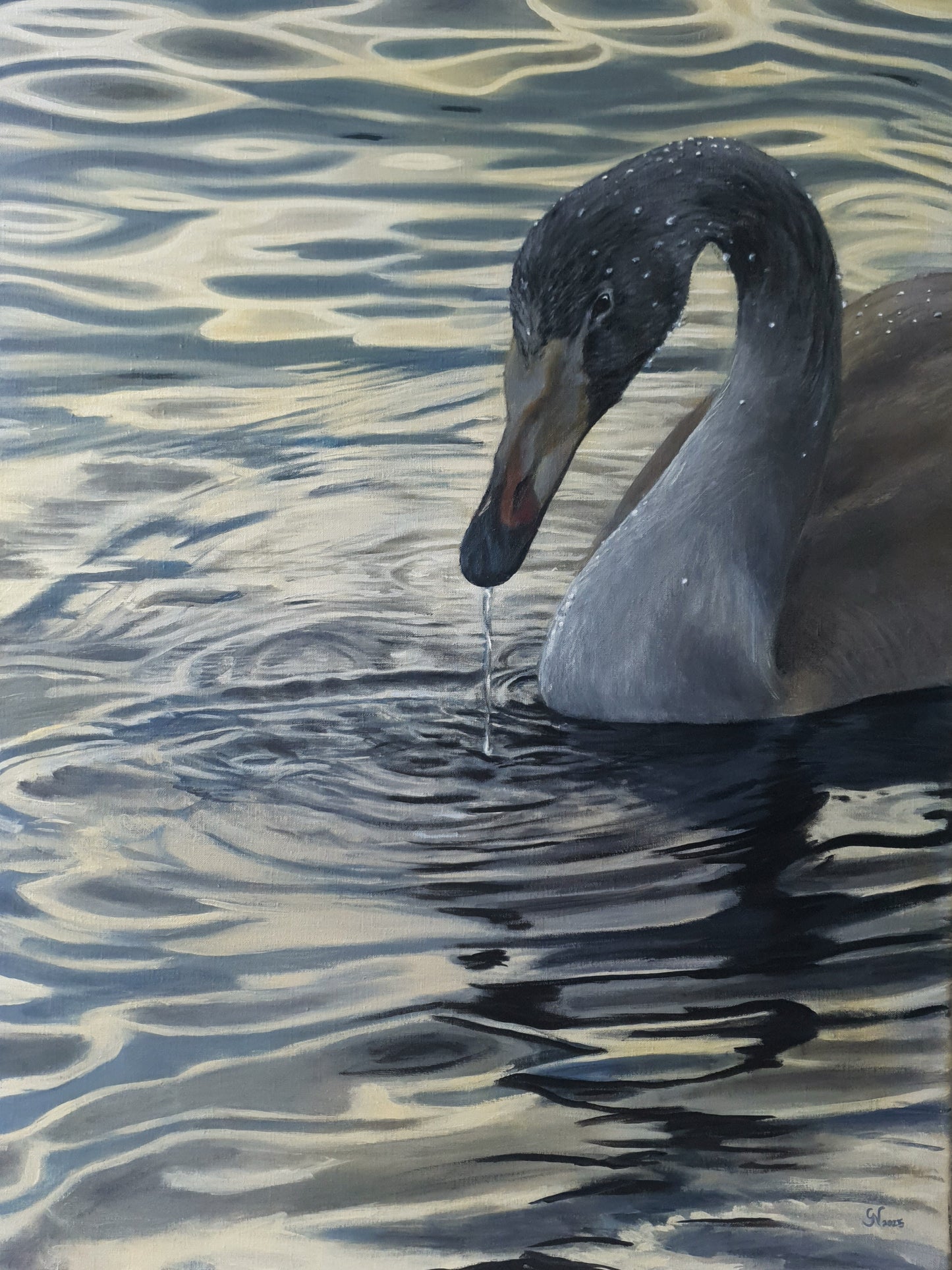 Gabriella Norum - Svan