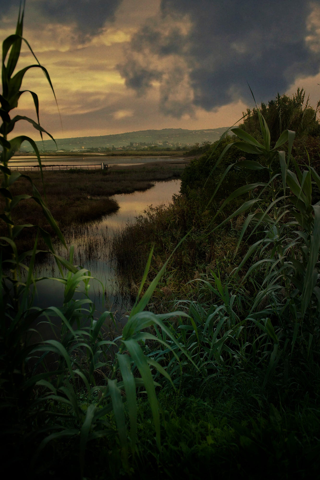 Catarina Kent - Waterway