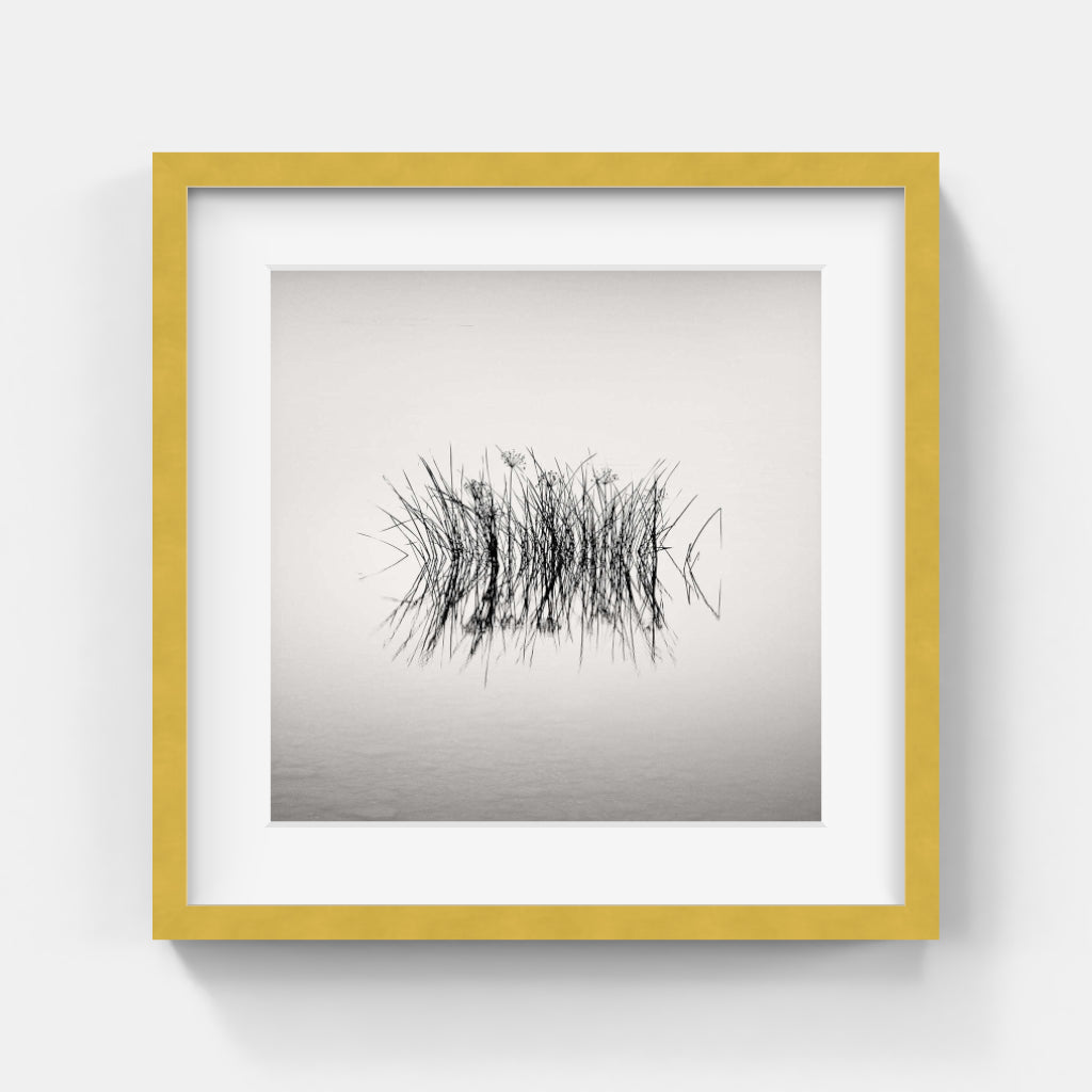 Frang Dushaj - Oneiric Lake Reed W33xH33