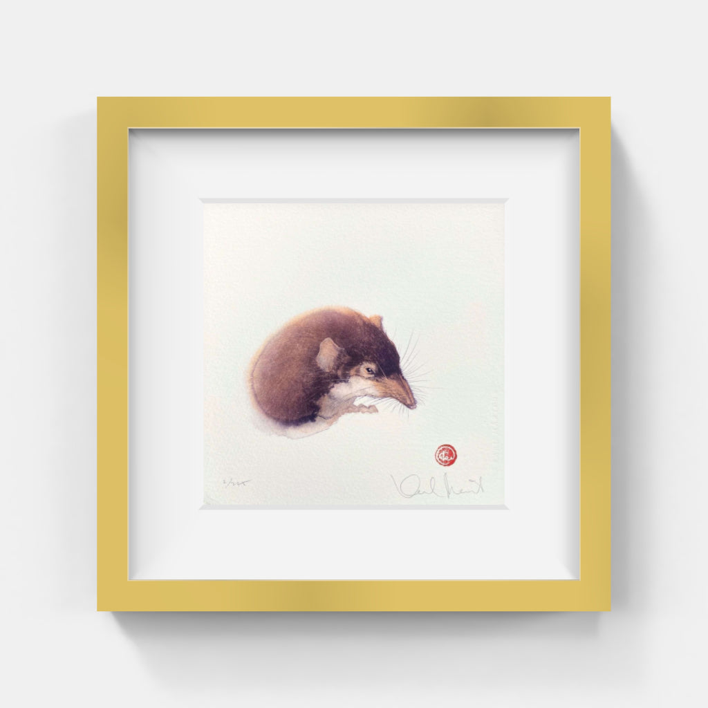 Karl Mårtens - Näbbmus