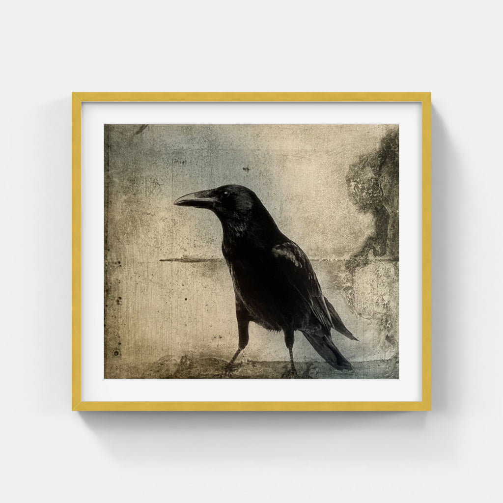 Arnold Hagström - In the woods