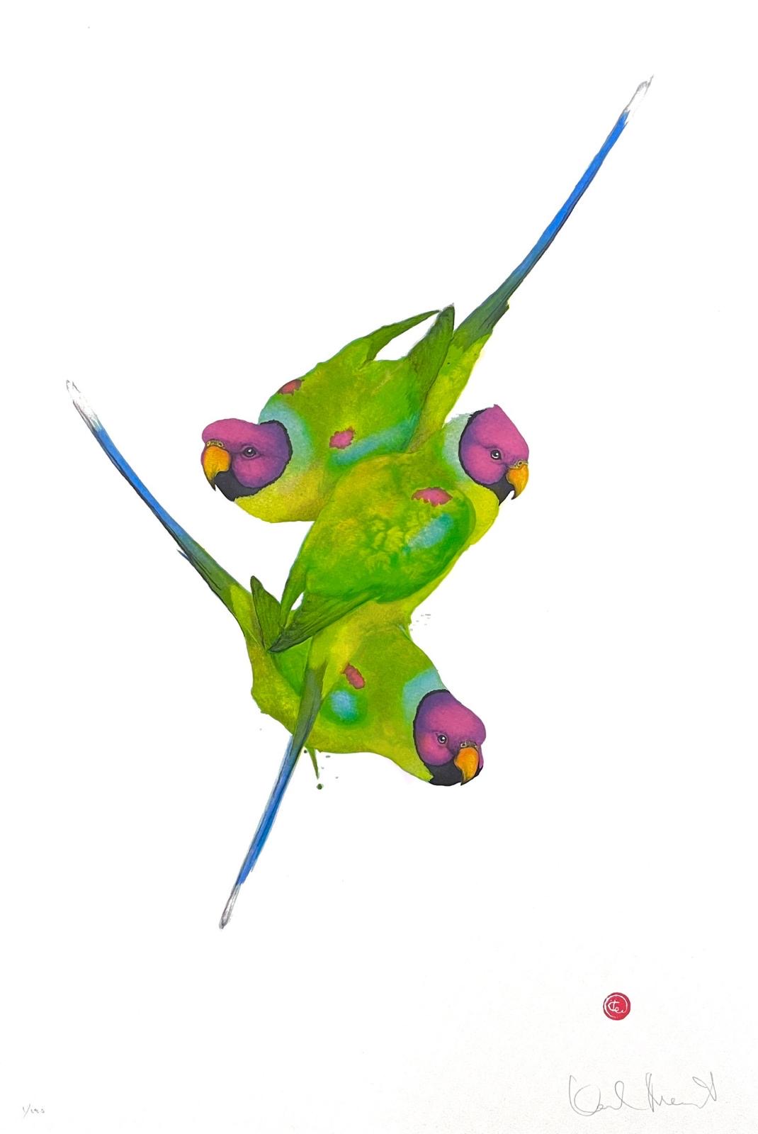 Karl Mårtens - Parakiter