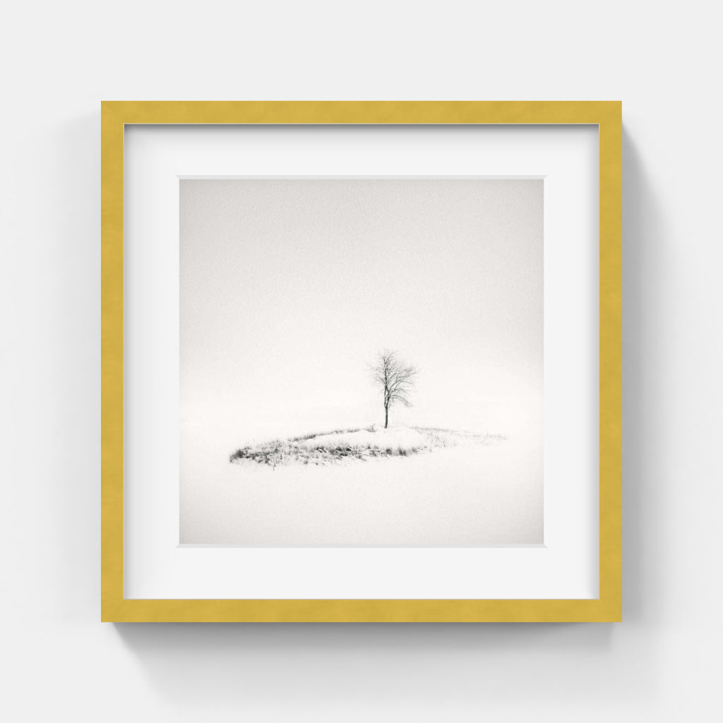 Frang Dushaj - Winter Tales The Lighness of Solace B33xH33