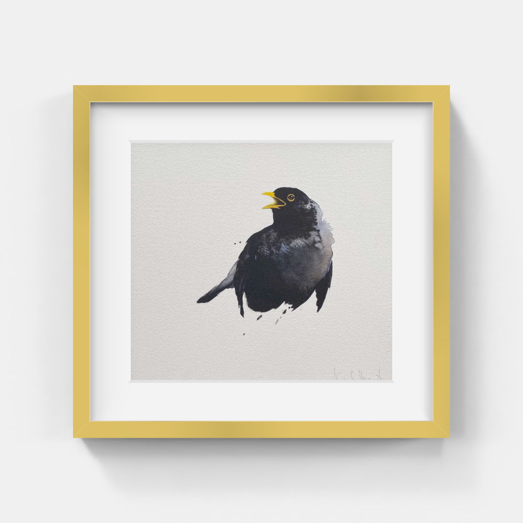 Karl Mårtens - Blackbird