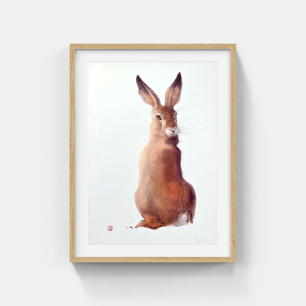 Karl Mårtens - Field Hare