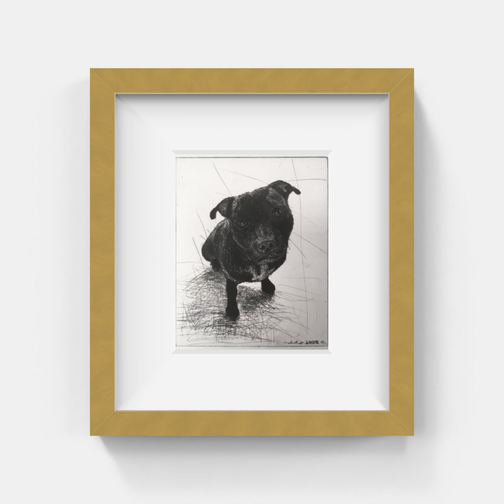 Mikael Kihlman - Louie