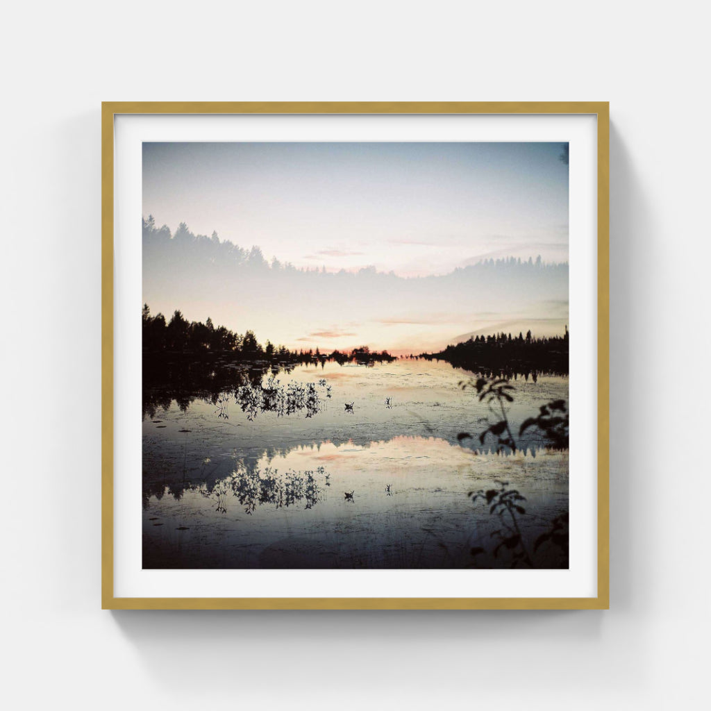 Anna Lilleengen - Metamorphosis, Series 2 #4