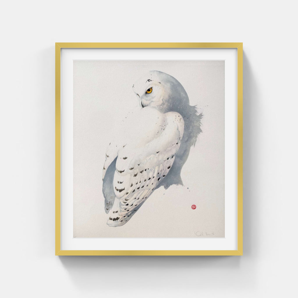 Karl Mårtens - Fjälluggla