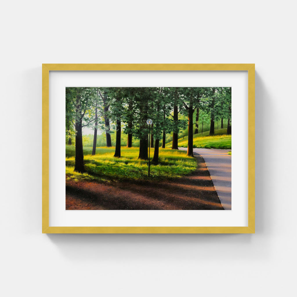 Anette Björk Swensson - Evening light