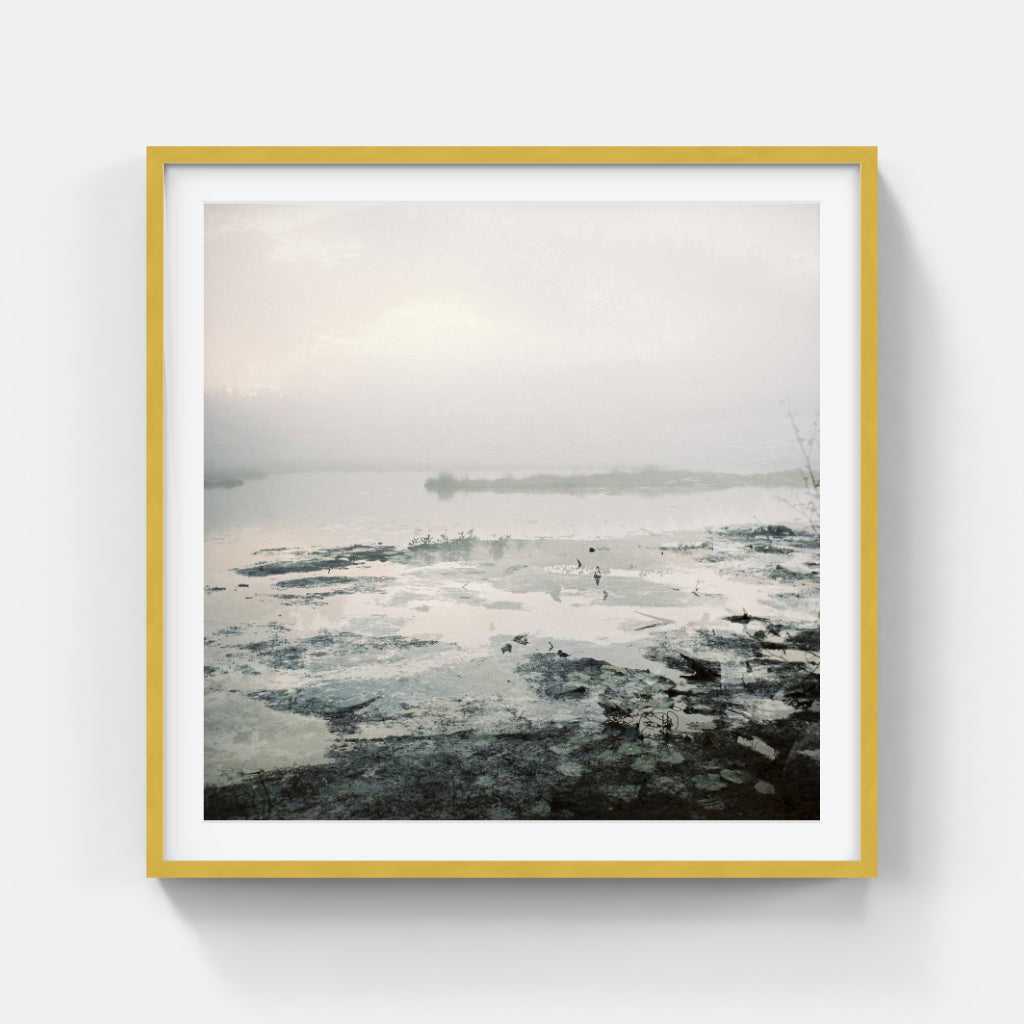 Anna Lilleengen - Metamorphosis-Series-1#1