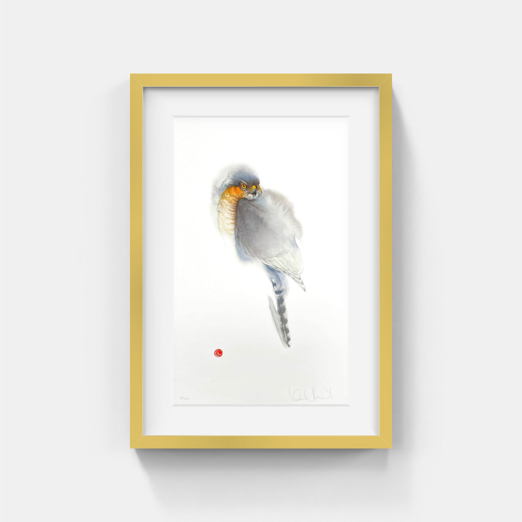 Karl Mårtens - Pigeon hawk