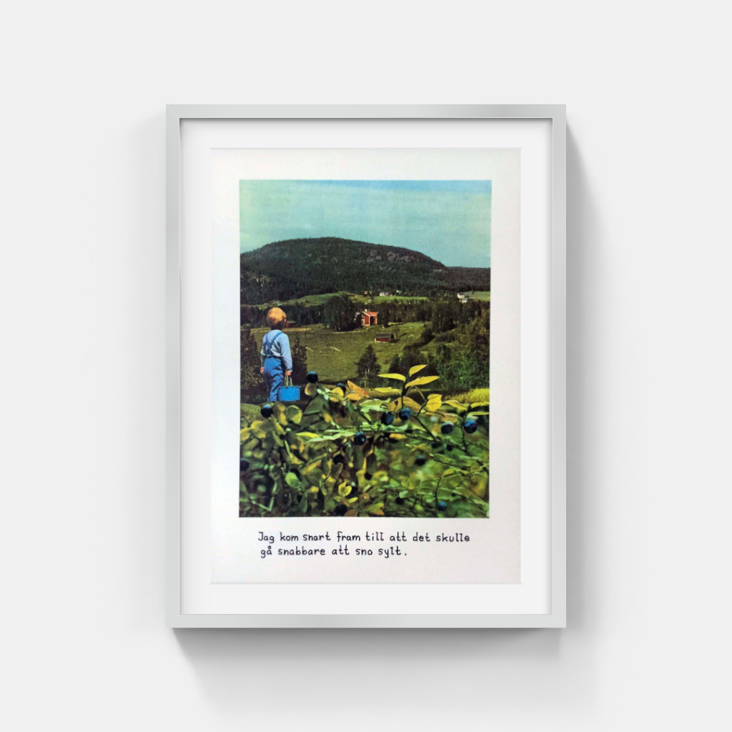 Jan Stenmark - Blueberry