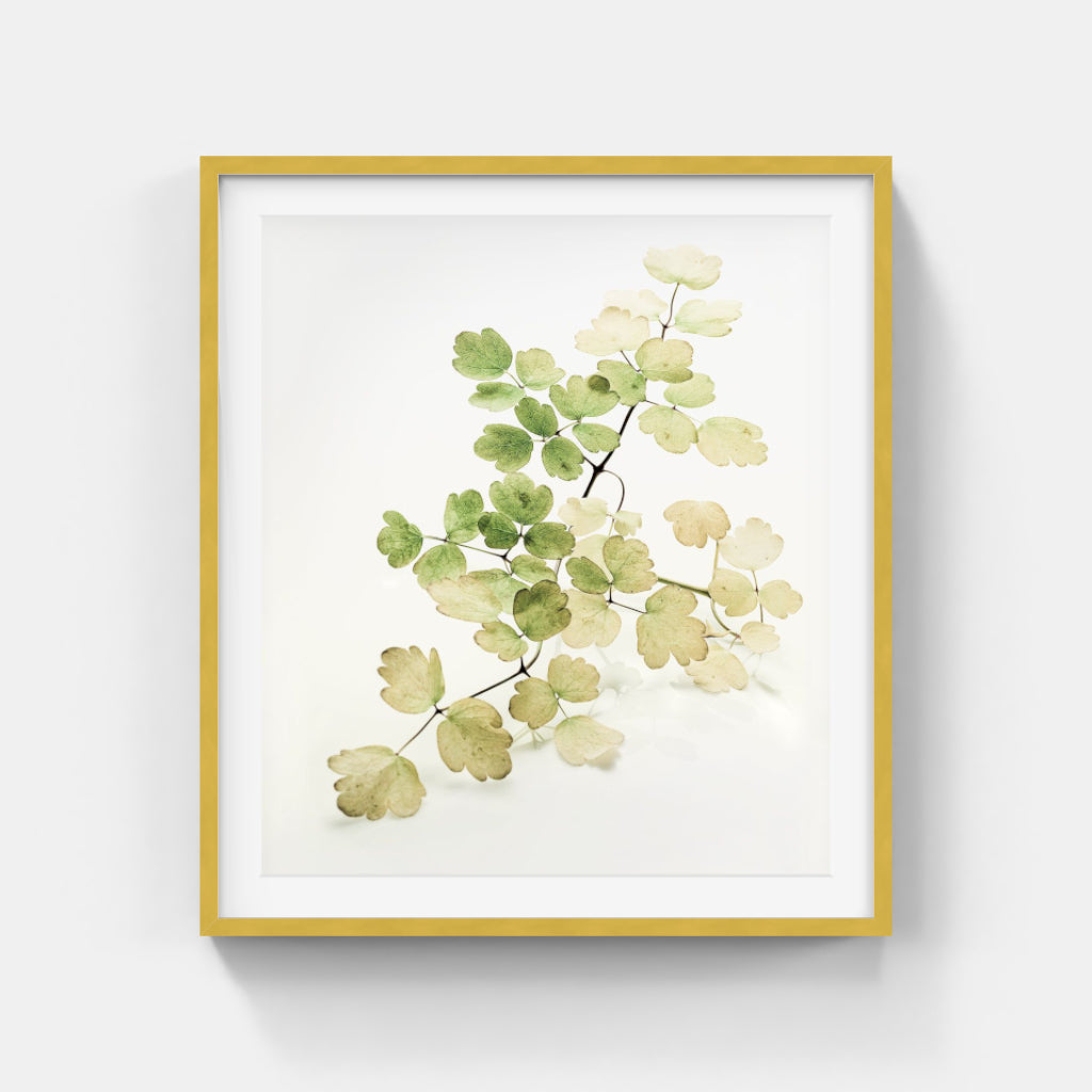 Vince Reichardt - Nature