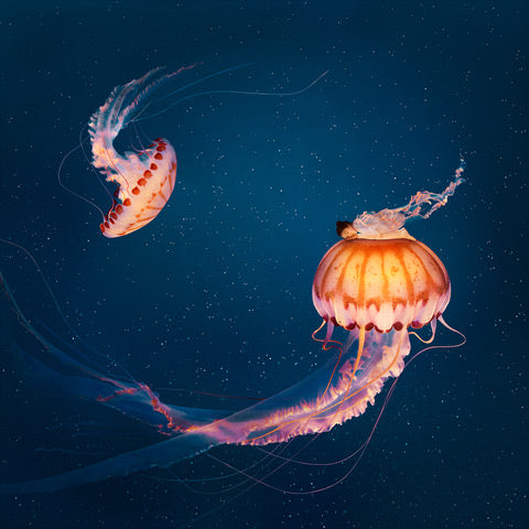 Sonja Hesslow - Finding Tranquility