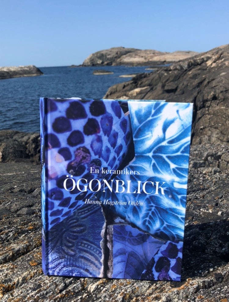 Galleri Mats Bergman Hanna Hagström Ohlén - Bok