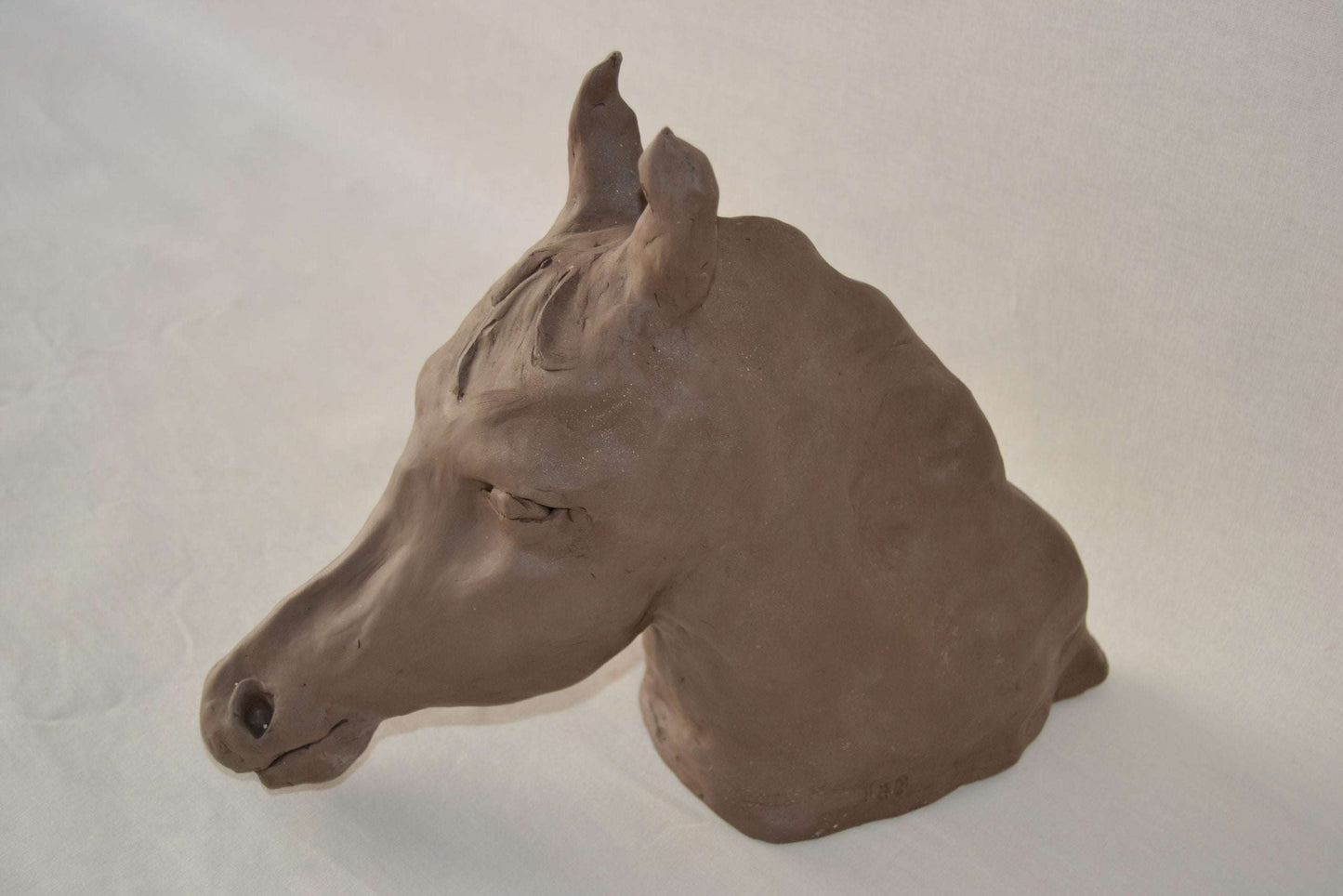 Galleri Mats Bergman Hanna Hagström - Ohlén Häst