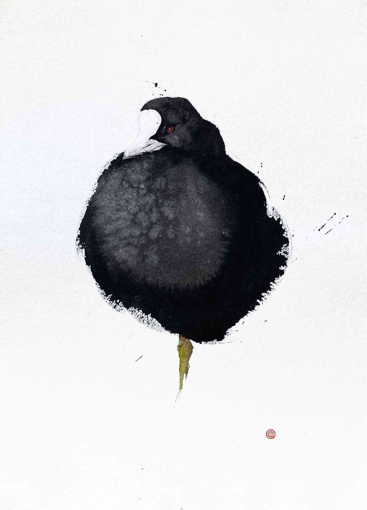 Galleri Mats Bergman Karl Mårtens - Sothöna - Akvarell